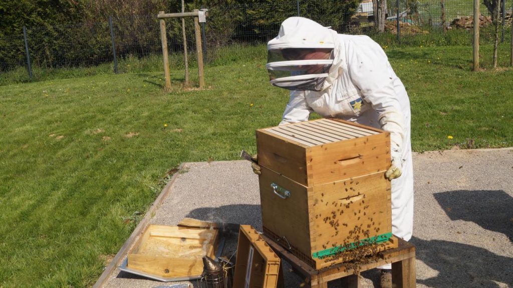 un apiculteur