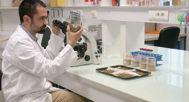 des scientifiques étudient le potentiel des insectes au profit de la médecine
